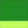 Verde bosque-Amarillo flúor